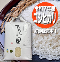 循環型農業で安全・安心な米作り 新潟県特別栽培米コシヒカリ【ならの里】