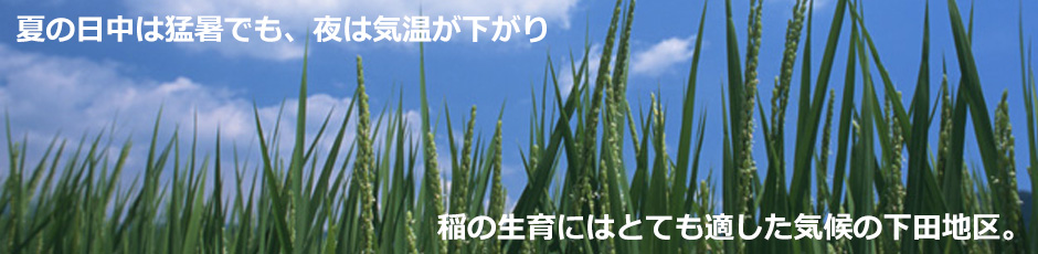 新潟県三条市下田地区は粟ヶ岳などの山々が背後にせまり、夏の日中は猛暑でも夜には気温が下がります。稲の生育にはとても適した気候が美味しいお米を育みます。