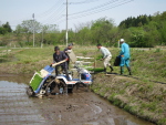 2014年5月の田植えの様子