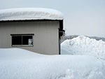 小屋の上にもどっさり雪が積もっています。