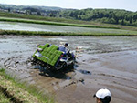 2015年5月の田植えの様子