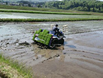 2015年5月の田植えの様子