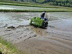 2015年5月の田植えの様子