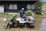 2015年5月の田植えの様子