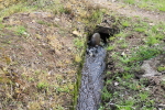 2015年5月の田植えの様子