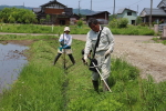 2015年5月の田植えの様子