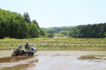 2015年5月の田植えの様子