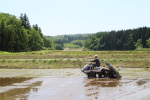 2015年5月の田植えの様子