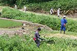 田んぼの除草 2015.06.14