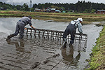 田植え枠で枠付け