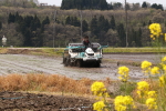 ちほみのりの田植え