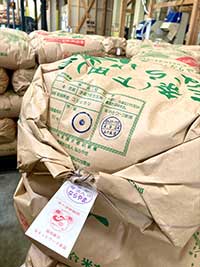 コシヒカリの穀物検査は約900袋全て一等米でした