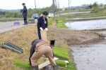 もち米「こがねもち」の田植え