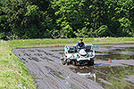 直播田植え