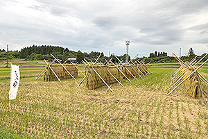 ならやまのはざかけ米