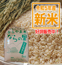 循環型農業で安全・安心な米作り　新潟県特別栽培米コシヒカリ【ならの里】