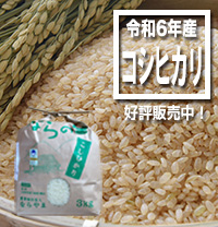 循環型農業で安全・安心な米作り　新潟県特別栽培米コシヒカリ【ならの里】