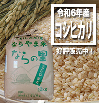 循環型農業で安全・安心な米作り　新潟県特別栽培米コシヒカリ【ならの里】