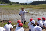 笹岡小学校の子供たちが当法人の田んぼで田植え体験