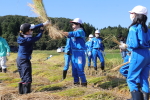 笹岡小学校の子供たちが稲刈り・はざ掛け