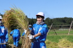 笹岡小学校の子供たちが稲刈り・はざ掛け