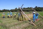 笹岡小学校の子供たちが稲刈り・はざ掛け