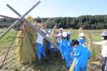 笹岡小学校の子供たちが稲刈り・はざ掛け