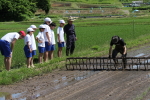 笹岡小学校の子供たちが当法人の田んぼで田植え