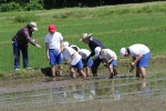 笹岡小学校の子供たちが当法人の田んぼで田植え