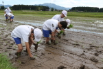 笹岡小学校の子供たちが当法人の田んぼで田植え